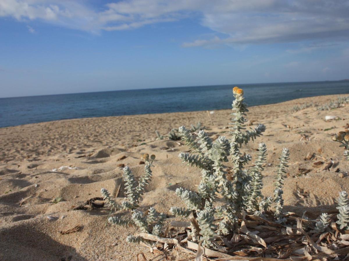 Mare Di Ginepri Διαμέρισμα Badesi Εξωτερικό φωτογραφία